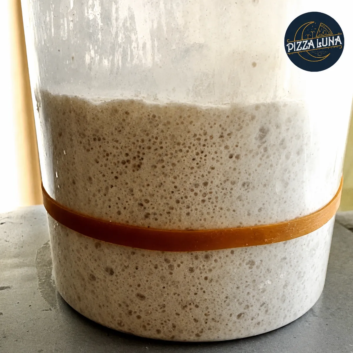 Pizza Luna 12-year-old sourdough starter fermenting in a round container