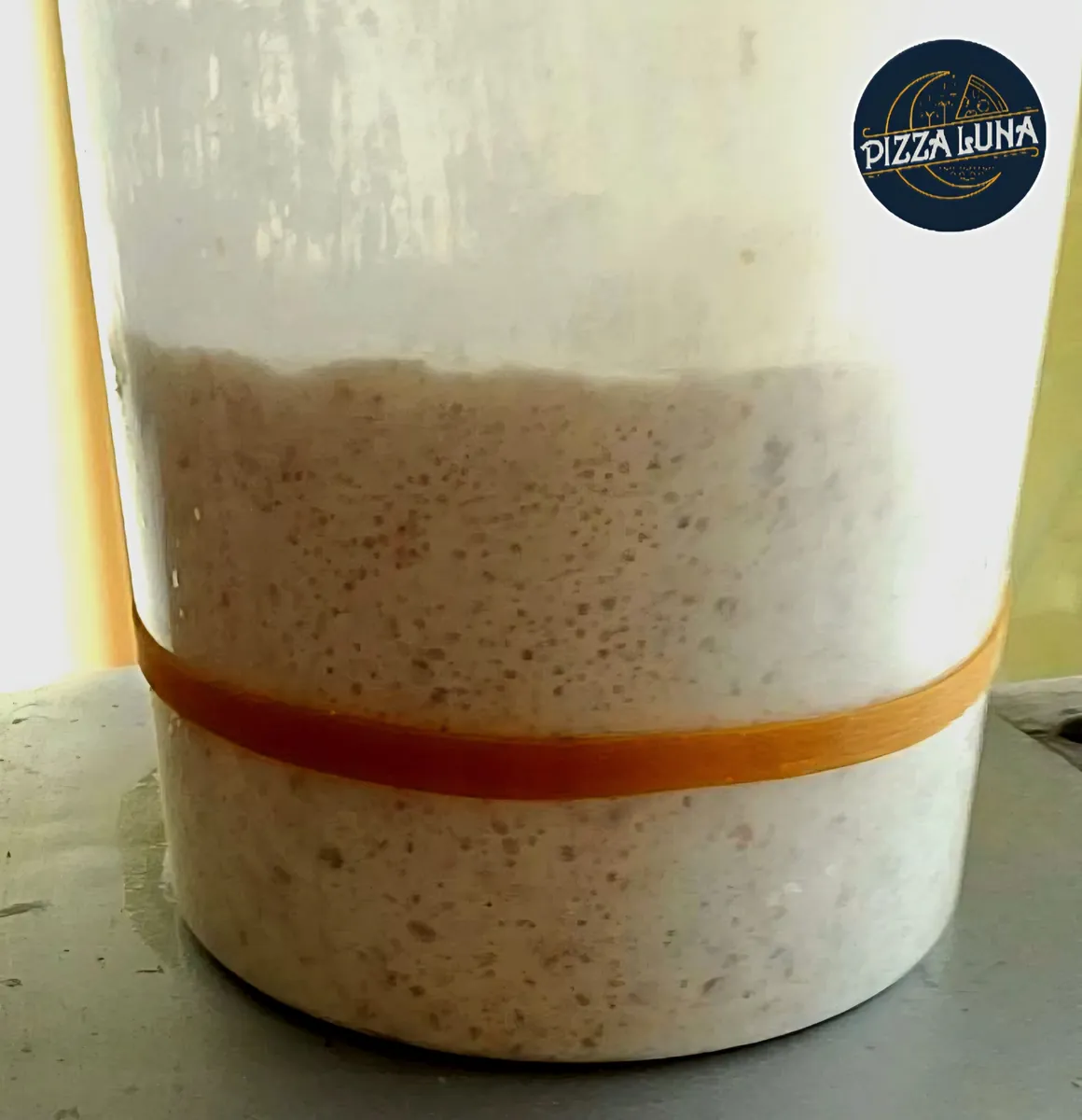 Pizza Luna sourdough starter